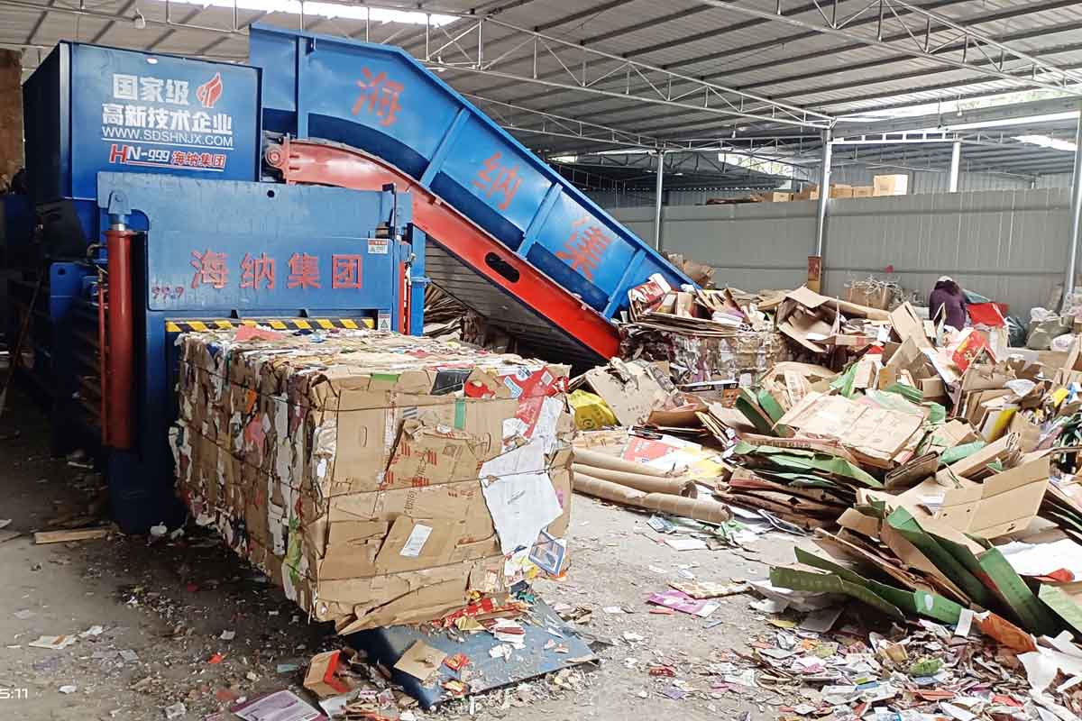 微信图片_20240225081605111